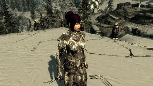 Custom armor for The Elder Scrolls V Skyrim