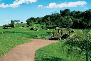 Por entre os campos de verde semeados, vagueio sem destino