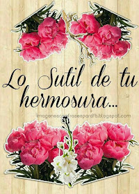 Imagenes con frases llena de amor 