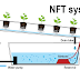 Cara Menanam Hidroponik Sistem NFT (Nutrient Film Tehnique)