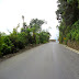 Pajarito : Antes de llegar a Ituango