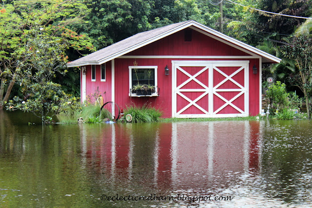 Eclectic Red Barn: Barn after rain