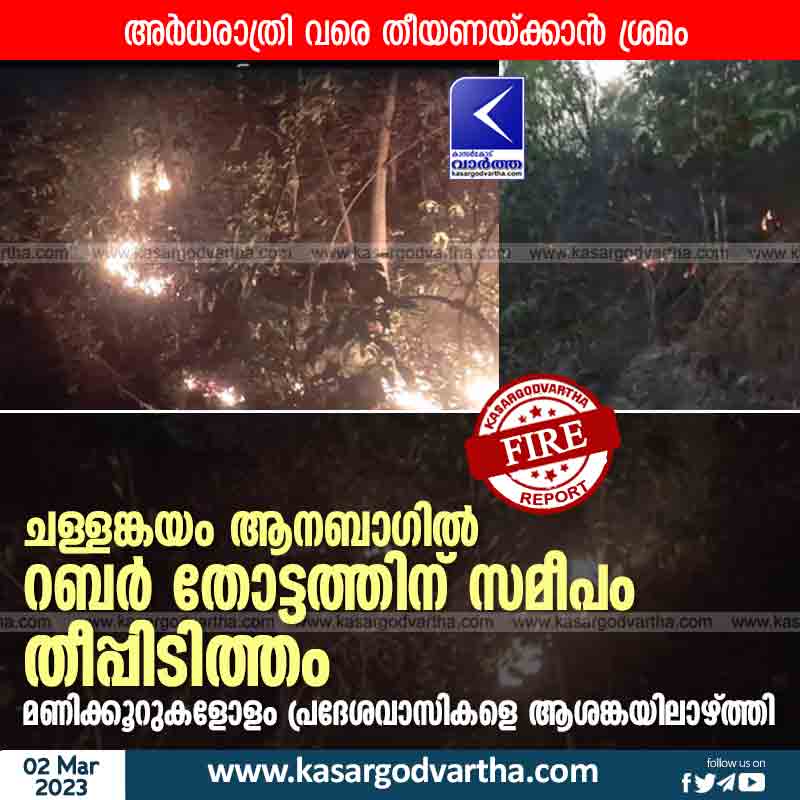 Kasaragod, News, Kerala, Puthige, Fire, Water, Masjid, Fire force, Transformer, Top-Headlines, Fire broke out near rubber plantation.