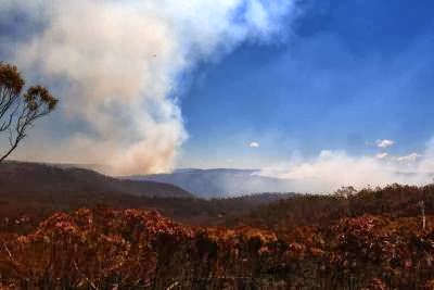 AUSTRALIA NSW BUSHFIRES