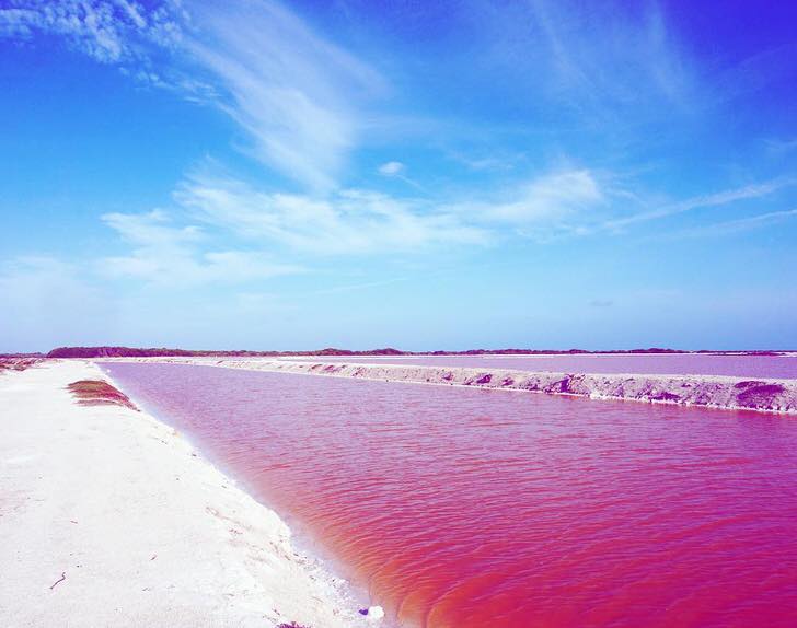 One of the most Instagram-worthy places: Naturally Pink Lagoon in Mexico