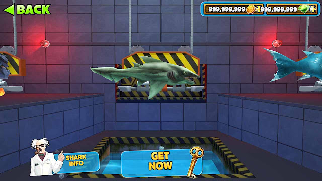 misteri hungry shark evolution