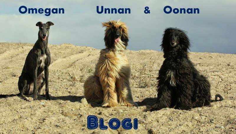 Oonan, Omegan ja Unnan blogi