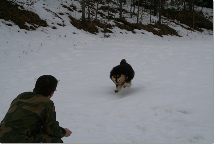 trening 005
