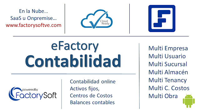 Libro Mayor por Cuenta Contable y Auxiliar en eFactory Software Contable en Nube