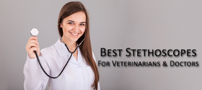 10-Best-Stethoscopes-For-Veterinarians-Doctors