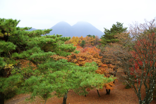 上ノ山公園の紅葉