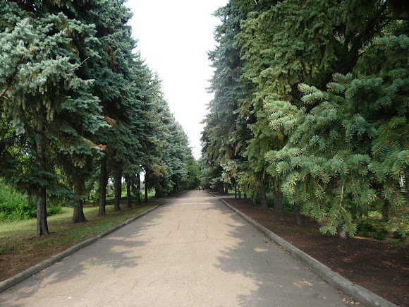 Донецк. Ботанический сад