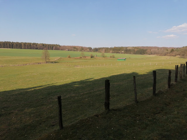 Sauerland wandern Wetter blog Brilon Arnsberger Wald