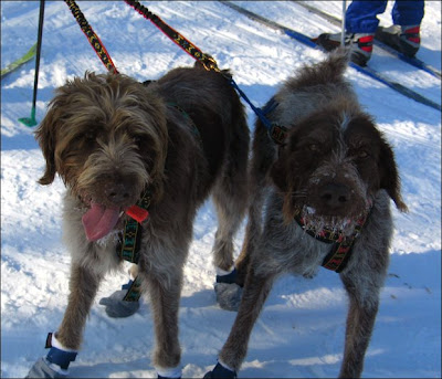 Günther and Spaten