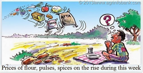 Prices of flour, pulses, spices on the rise