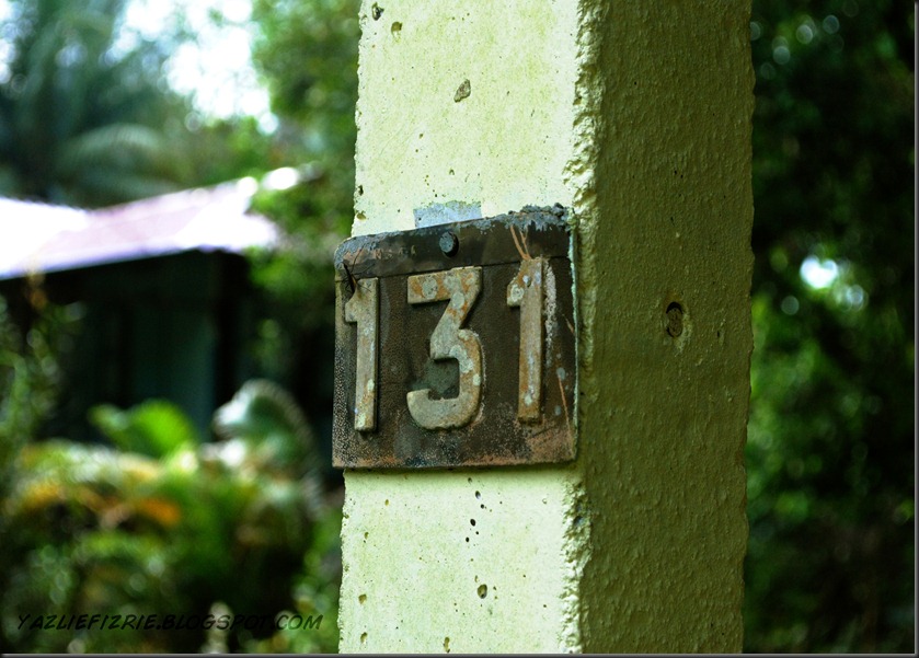 DSC_0028
