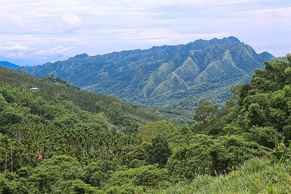 南投國姓交流道橋聳雲天綠雕園區散步欣賞雄偉建築，公路十大美景