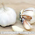 Garlic kills bubonic plague and other pathogen-based disease epidemics