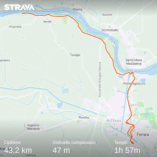 https://www.strava.com/activities/3430838299