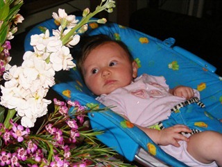 Feb 15 2012 005