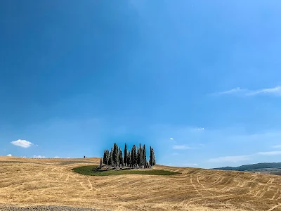 Cipressini val D'Orcia