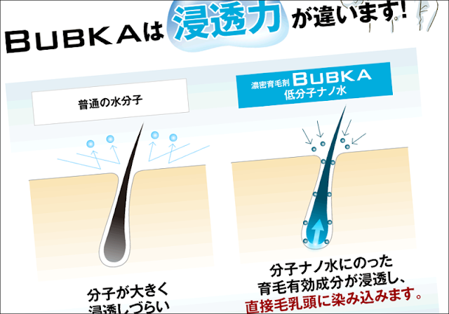 ブブカ（BUBKA）がこだわった2つの育毛効果！