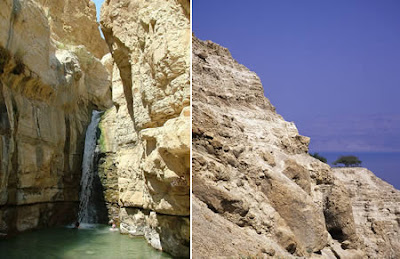 Ein Gedi (Israel)