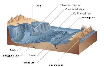 Macam-Macam Bentuk Relief Dasar Laut