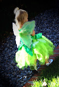 Tinkerbell Costume