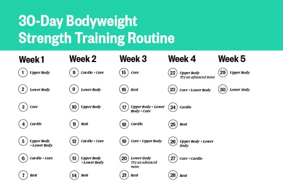 Full body workout routine images