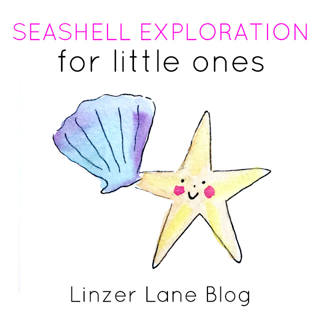 Seashell Exploration for Little Ones | Baby Playtime Activity | Linzer Lane Blog