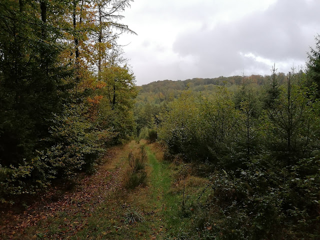 Sauerland wandern Wetter blog Meschede X22 Kurkölner Weg