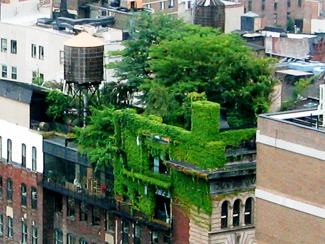 Cubierta vegetal masiva en Nueva York