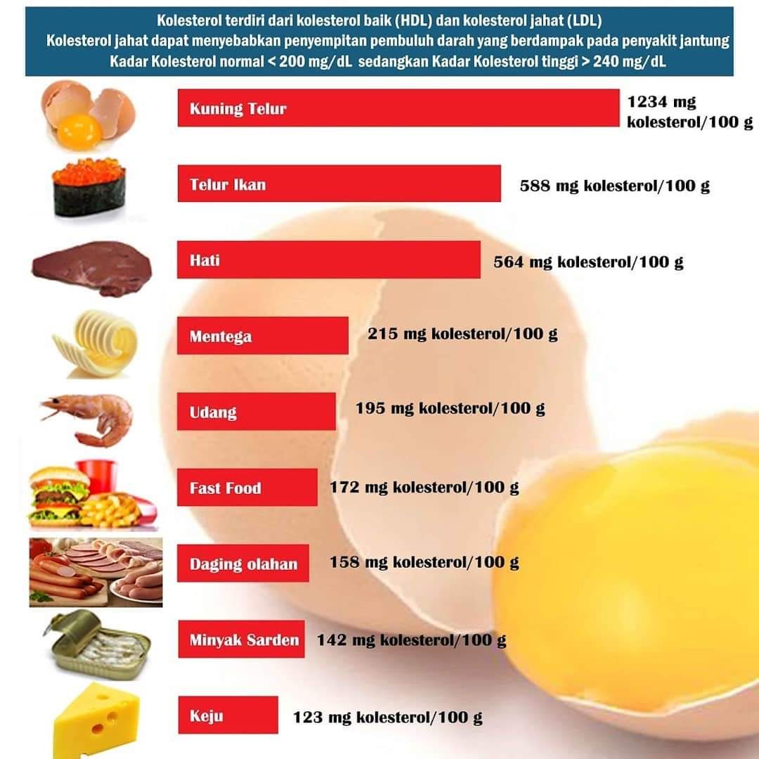 Makanan Yang Membantu Menurunkan Kolesterol Dalam Darah ...