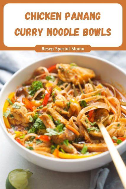 CHICKEN PANANG CURRY NOODLE BOWLS