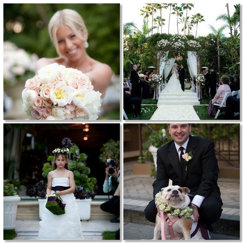 Take a look at this beautiful wedding we recently had the pleasure of 