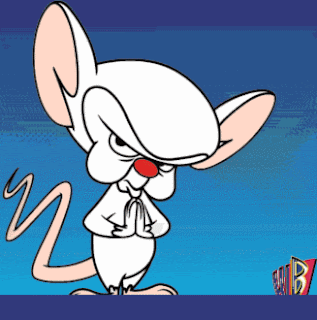 Kumpulan Gambar Pinky and The Brain