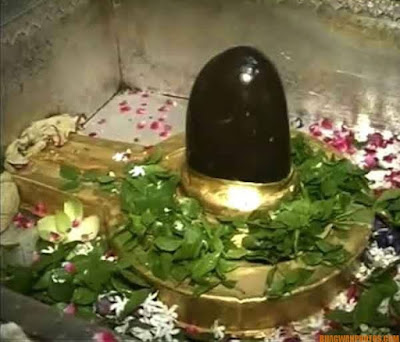 Kashi Vishwanath Shivling Photo