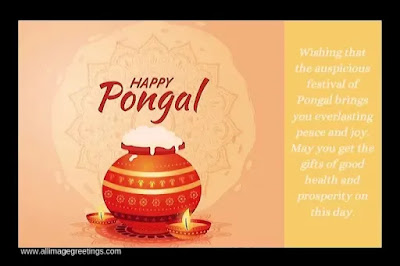 Pongal pictures  and images