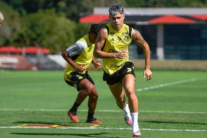 Flamengo se reapresenta e inicia preparação para enfrentar o Millonarios
