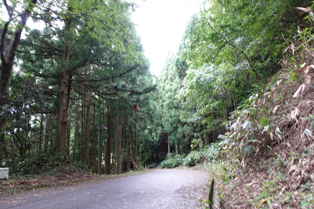 坊領道方面に向かいます