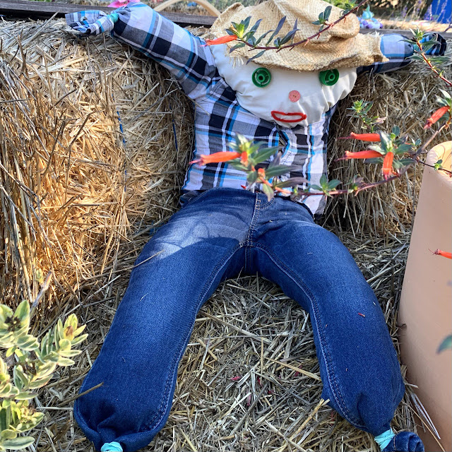 How to Make a Super Simple Scarecrow for a fun kids fall craft and activity