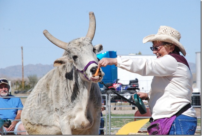 02-28-13 A Cutler Show in Bouse 030