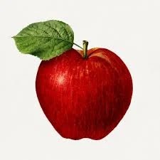 health benefits of apples. red apple fruit with light background