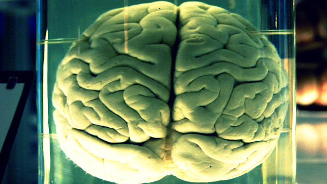 Berbicara Sendiri Tidak Gila, Rahasia Otak Manusia Normal
