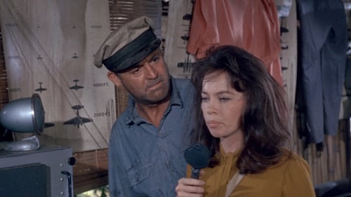 Il gran lupo chiama 1964 guardare film
