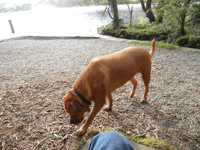 Lake Coniston.