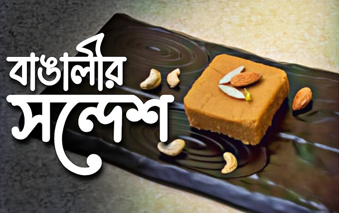 How to Make Sandesh at Home | বাড়িতে তৈরি করুন সুস্বাদু সন্দেশ