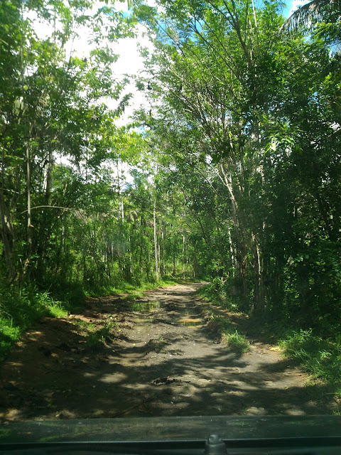 Wisata Sukabumi Selatan, Curug Cikaso & Pantai Pangumbahan