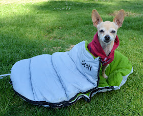 Sleeping bag for small dogs